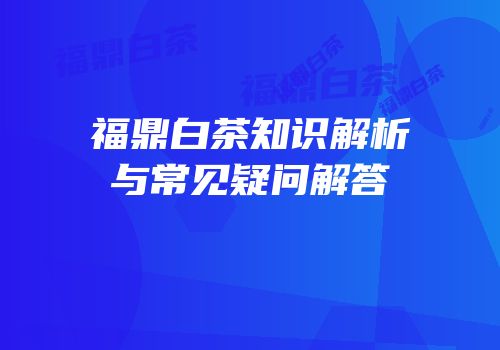 福鼎白茶知识解析与常见疑问解答