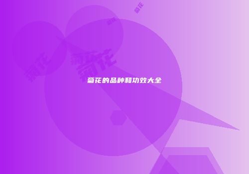 菊花的品种和功效大全