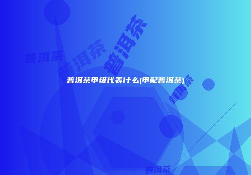 普洱茶甲级代表什么(甲配普洱茶)