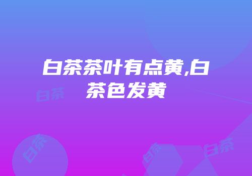 白茶茶叶有点黄,白茶色发黄