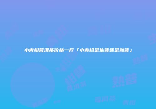 小青柑普洱茶价格一斤「小青柑是生普还是熟普」