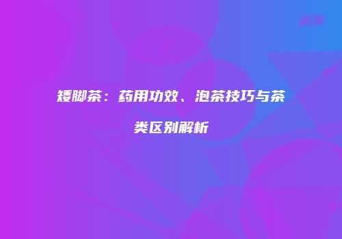 矮脚茶：药用功效、泡茶技巧与茶类区别解析
