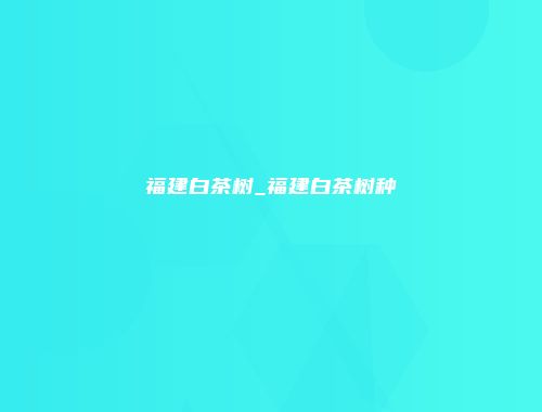 福建白茶树_福建白茶树种