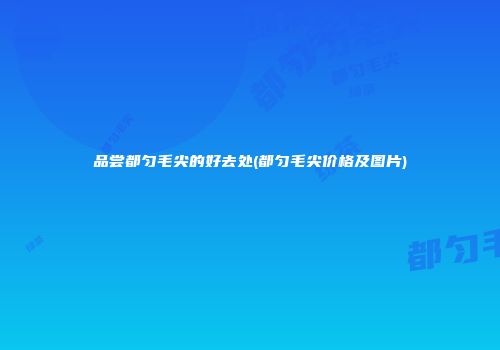 品尝都匀毛尖的好去处(都匀毛尖价格及图片)