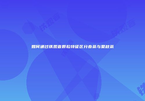 如何通过铁观音颗粒特征区分春茶与夏秋茶