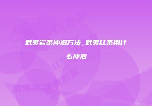 武夷岩茶冲泡方法_武夷红茶用什么冲泡