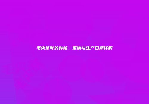 毛尖茶叶的种植、采摘与生产日期详解