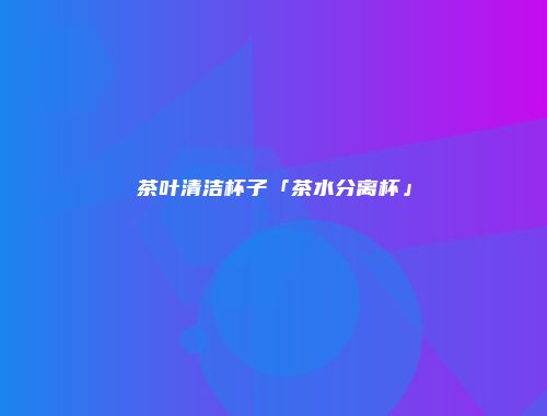 茶叶清洁杯子「茶水分离杯」