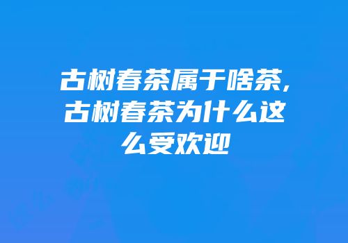 古树春茶属于啥茶,古树春茶为什么这么受欢迎