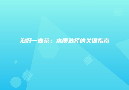 泡好一壶茶：水质选择的关键指南
