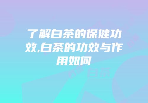 了解白茶的保健功效,白茶的功效与作用如何