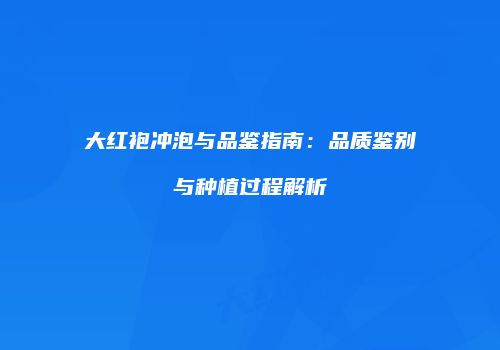 大红袍冲泡与品鉴指南：品质鉴别与种植过程解析