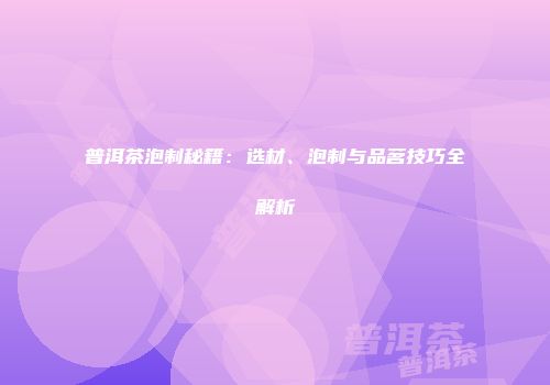 普洱茶泡制秘籍：选材、泡制与品茗技巧全解析