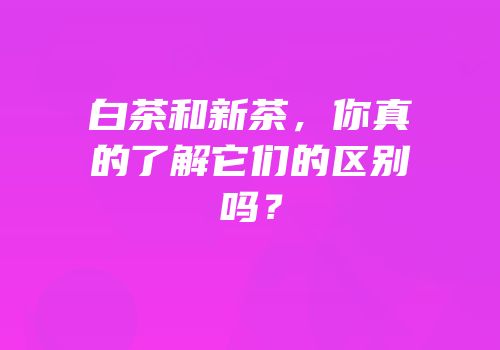 白茶和新茶，你真的了解它们的区别吗？