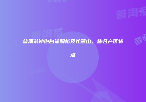 普洱茶冲泡白沫解析及忙麓山、昔归产区特点