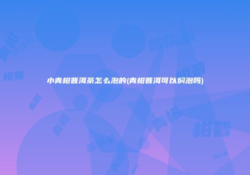小青柑普洱茶怎么泡的(青柑普洱可以焖泡吗)