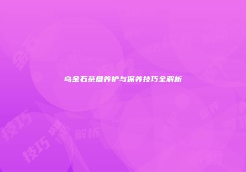 乌金石茶盘养护与保养技巧全解析