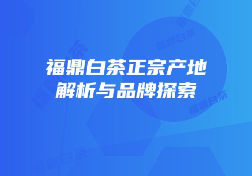 福鼎白茶正宗产地解析与品牌探索