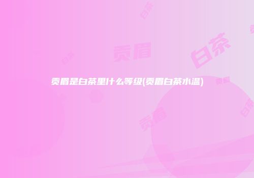 贡眉是白茶里什么等级(贡眉白茶水温)