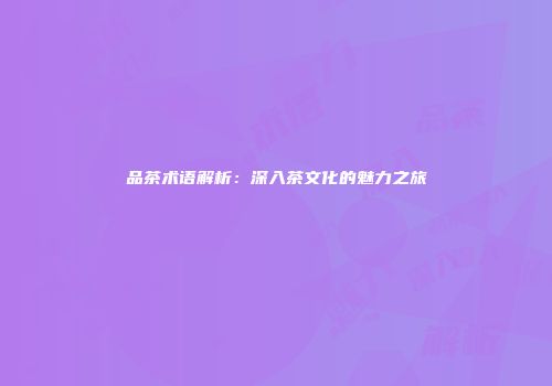 品茶术语解析：深入茶文化的魅力之旅