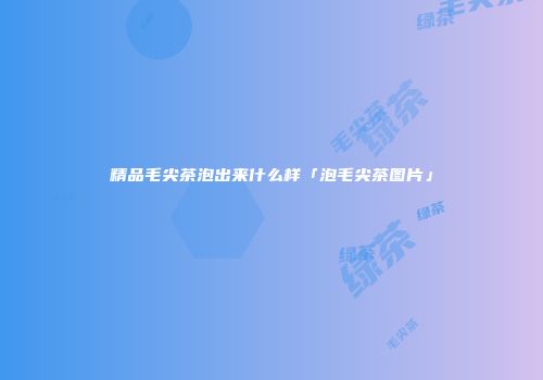 精品毛尖茶泡出来什么样「泡毛尖茶图片」