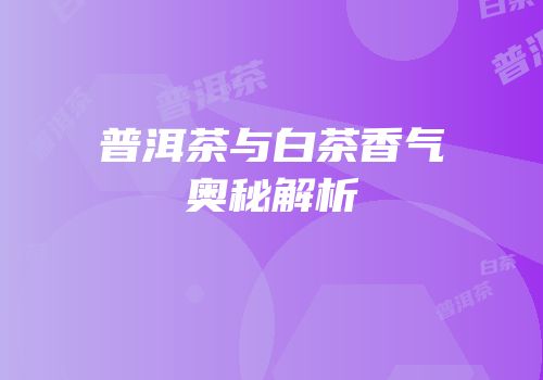 普洱茶与白茶香气奥秘解析