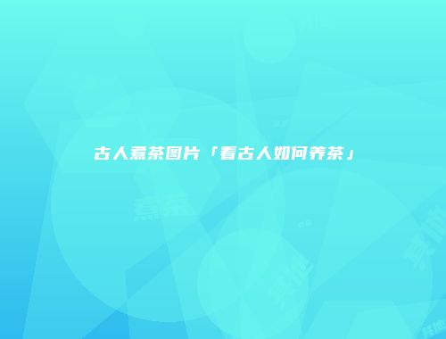 古人煮茶图片「看古人如何养茶」