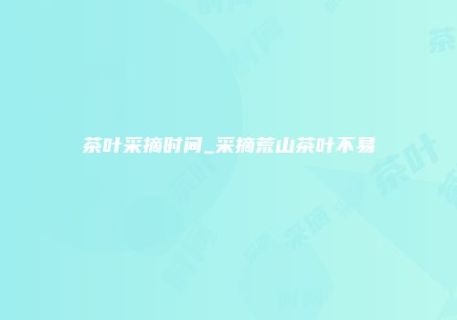 茶叶采摘时间_采摘荒山茶叶不易