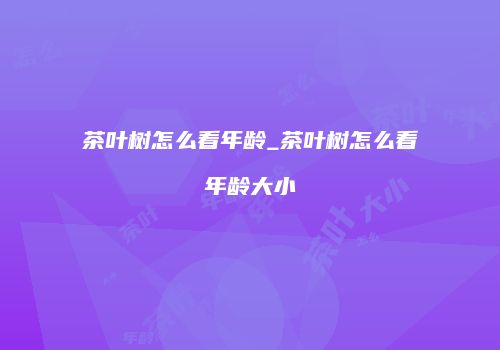 茶叶树怎么看年龄_茶叶树怎么看年龄大小