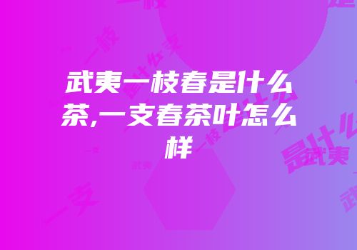 武夷一枝春是什么茶,一支春茶叶怎么样