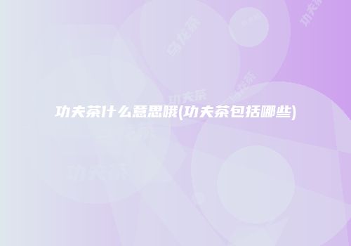 功夫茶什么意思哦(功夫茶包括哪些)