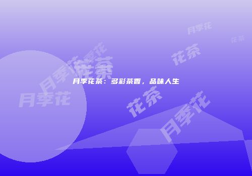 月季花茶：多彩茶香，品味人生