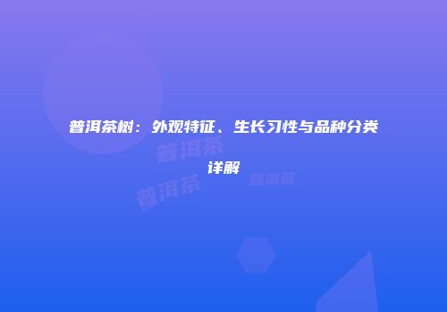 普洱茶树：外观特征、生长习性与品种分类详解