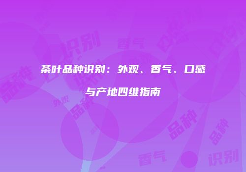 茶叶品种识别：外观、香气、口感与产地四维指南