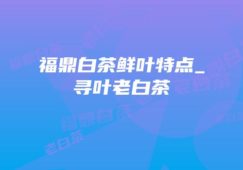 福鼎白茶鲜叶特点_寻叶老白茶