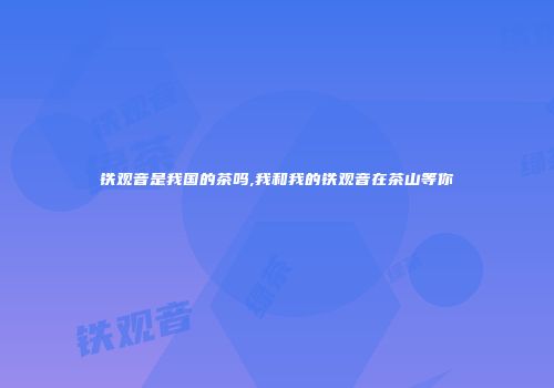 铁观音是我国的茶吗,我和我的铁观音在茶山等你