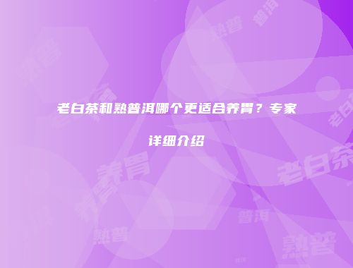 老白茶和熟普洱哪个更适合养胃？专家详细介绍