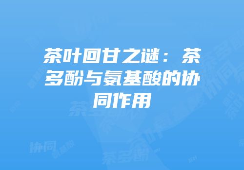 茶叶回甘之谜：茶多酚与氨基酸的协同作用