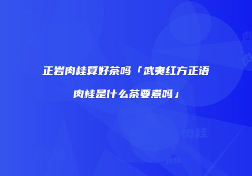 正岩肉桂算好茶吗「武夷红方正语肉桂是什么茶要煮吗」