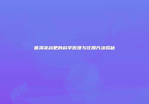 普洱茶减肥的科学原理与饮用方法揭秘