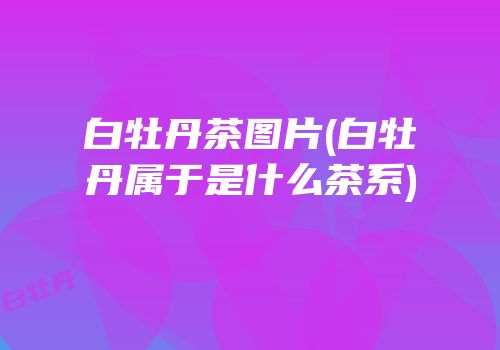 白牡丹茶图片(白牡丹属于是什么茶系)