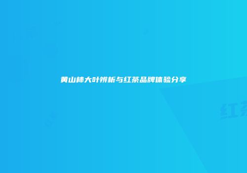 黄山柿大叶辨析与红茶品牌体验分享
