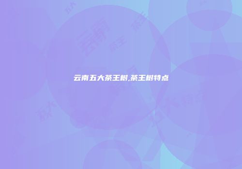 云南五大茶王树,茶王树特点