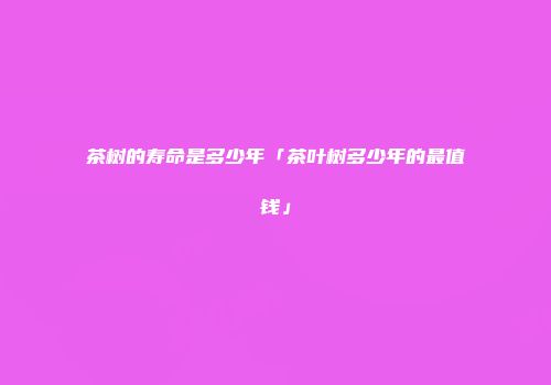 茶树的寿命是多少年「茶叶树多少年的最值钱」