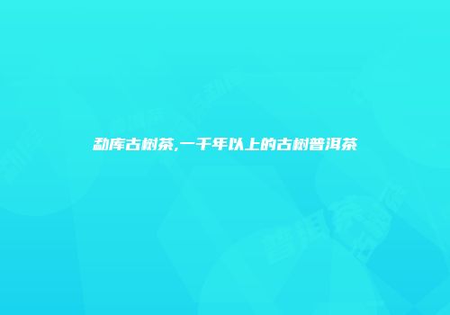 勐库古树茶,一千年以上的古树普洱茶