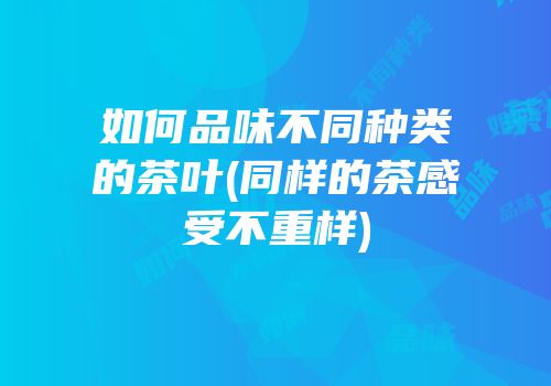 如何品味不同种类的茶叶(同样的茶感受不重样)