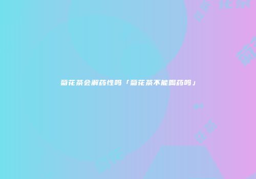 菊花茶会解药性吗「菊花茶不能喝药吗」