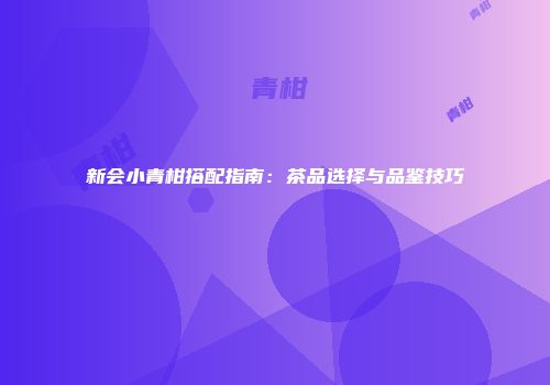 新会小青柑搭配指南：茶品选择与品鉴技巧