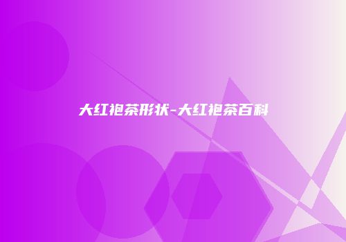 大红袍茶形状-大红袍茶百科