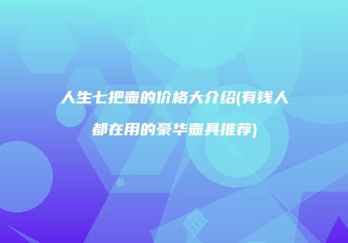 人生七把壶的价格大介绍(有钱人都在用的豪华壶具推荐)